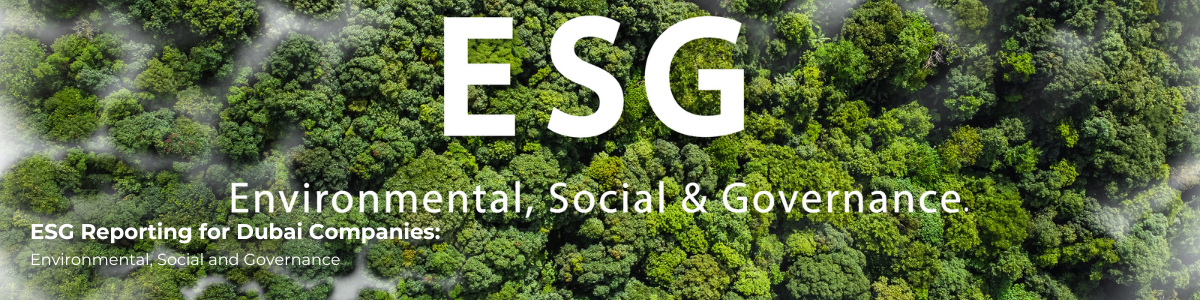 ESG Reporting for Dubai Companies: Environmental, Social and Governance